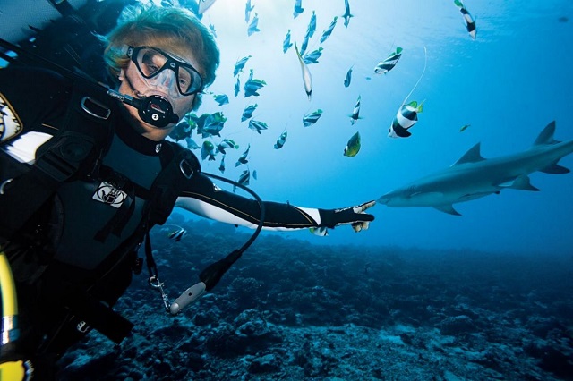 Công viên tự nhiên Tubbataha Reefs Marine, nơi du khách có thể khám phá thế giới động vật biển đa dạng